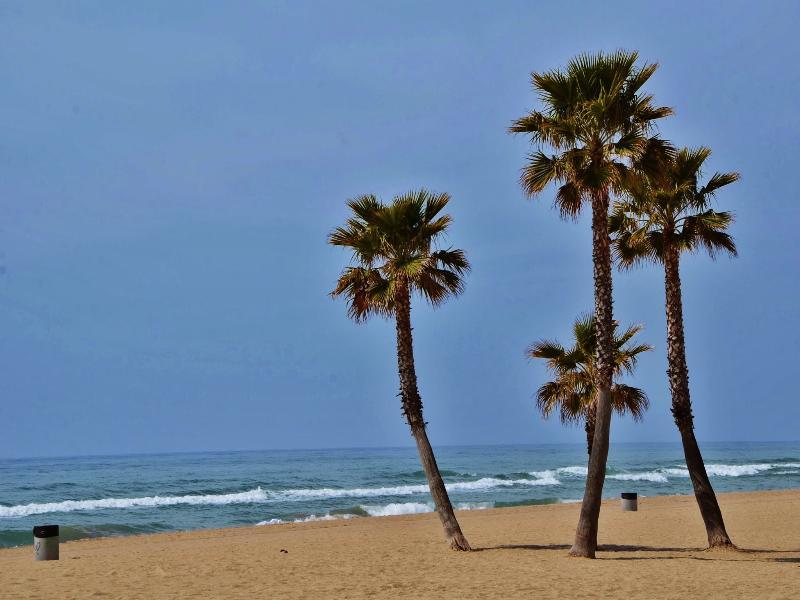 Camping Estival Vendrell Platja Coma-ruga Dış mekan fotoğraf