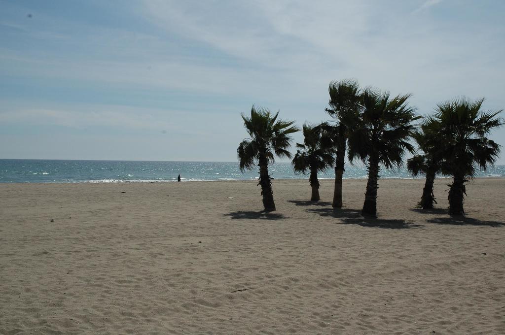 Camping Estival Vendrell Platja Coma-ruga Oda fotoğraf